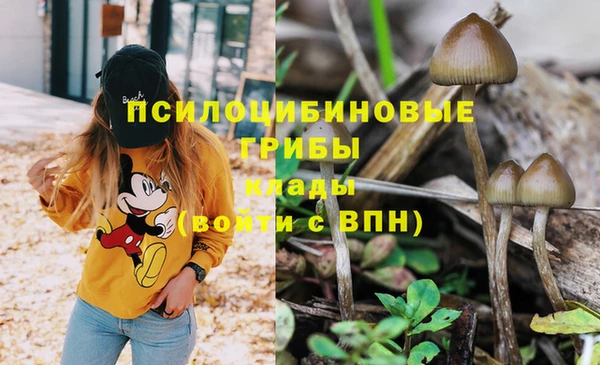 дживик Дмитровск