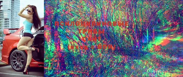 марки lsd Елабуга