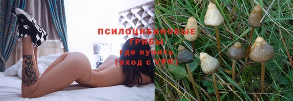 марки lsd Елабуга